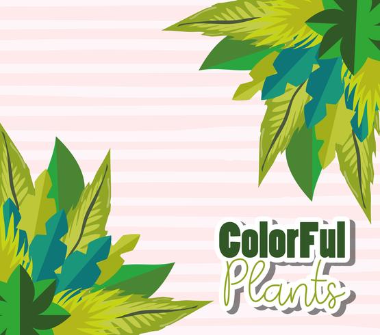 Projeto de plantas coloridas vetor