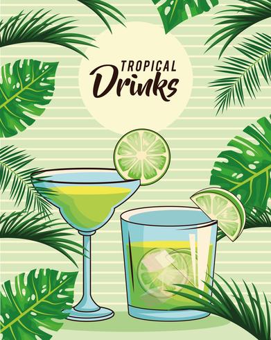 cartaz tropical das bebidas cocktail vetor