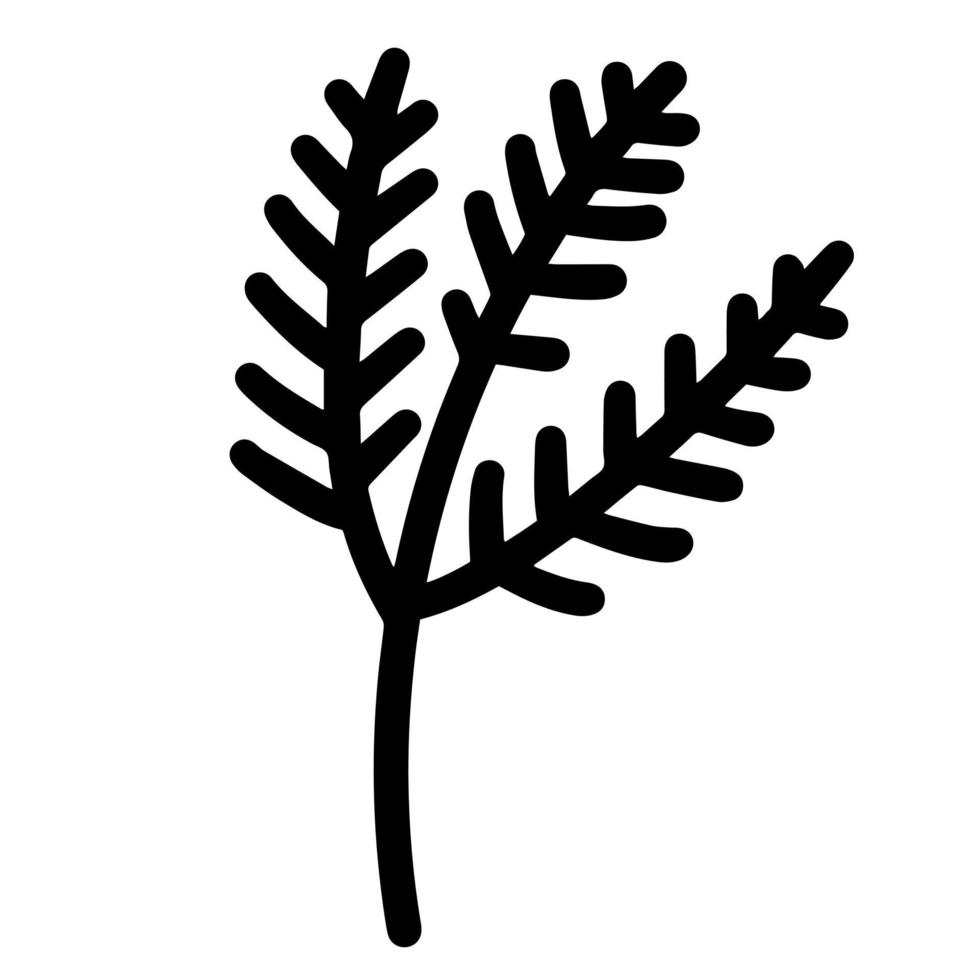 raminho de ícone de vetor com folhas. elemento botânico isolado no fundo branco. contorno preto de abeto, pinheiro, larício, ramos de cavalinha. doodle desenhado à mão. grama de campo, planta medicinal.