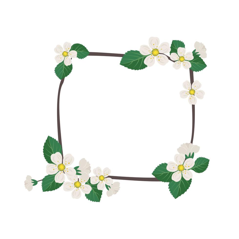 coroa quadrada de cereja ou maçã. moldura com flores brancas. composição de florescência de primavera com botões e folhas. decoração festiva para casamento, feriado, cartão postal e design. ilustração vetorial plana vetor