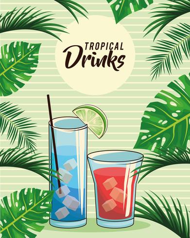 cartaz tropical das bebidas cocktail vetor