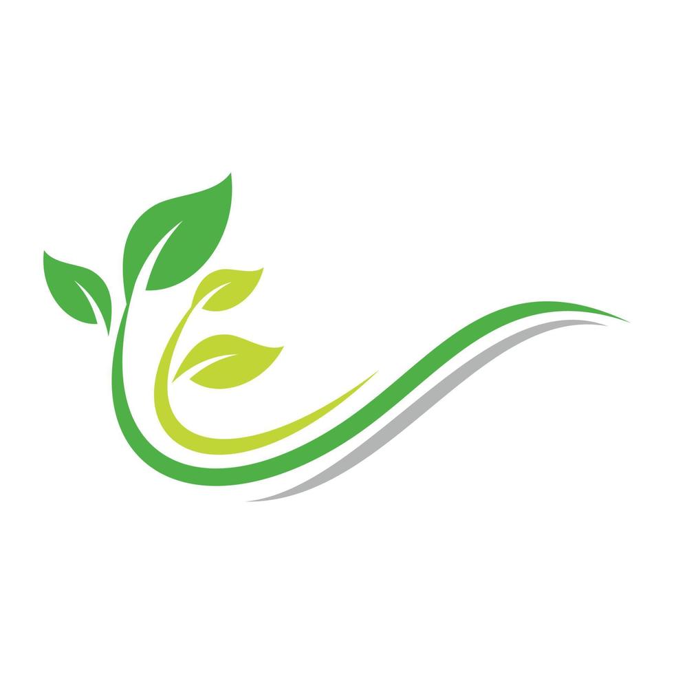 logotipo de vetor de folha verde