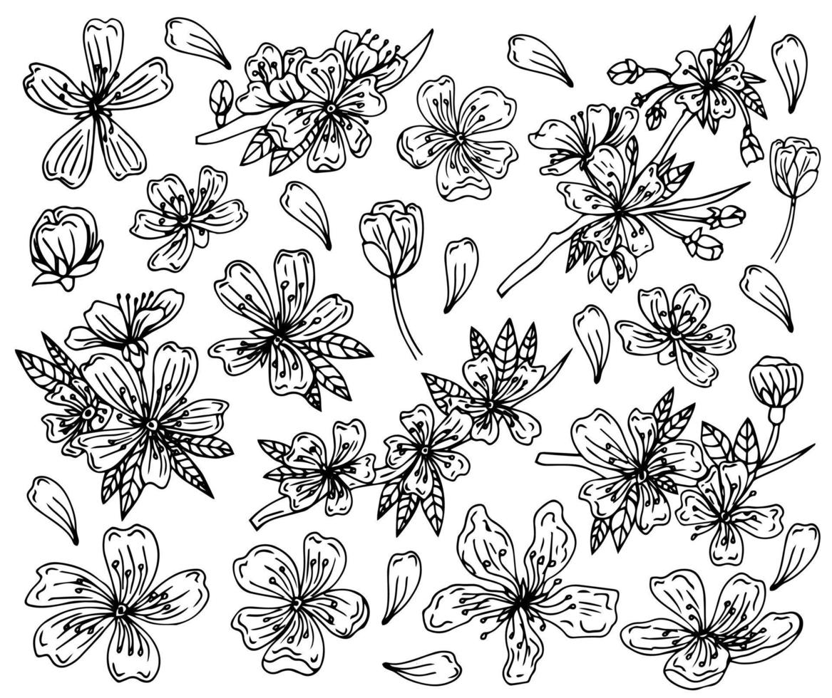conjunto de flores de sakura, estilo de tinta de linha desenhada à mão. cura doodle ilustração em vetor planta cereja, preto isolado no fundo branco. flor floral realista para férias de primavera japonesa ou chinesa