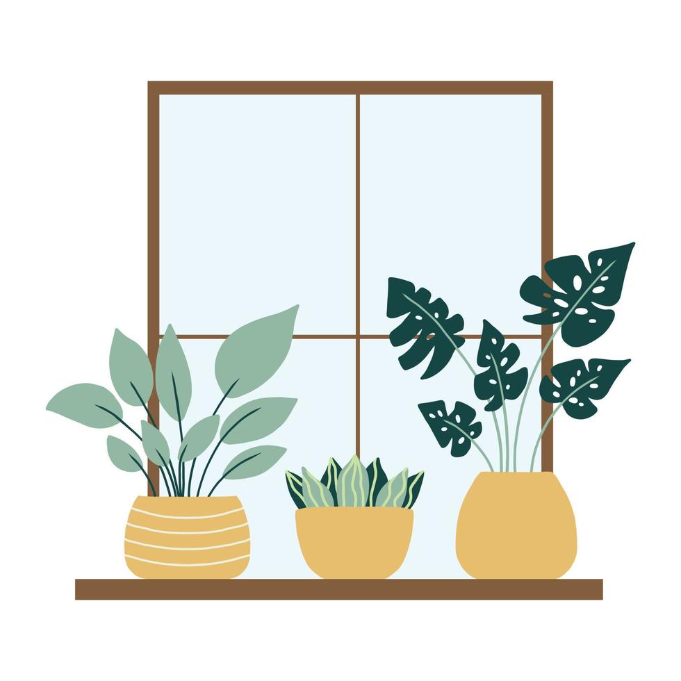 plantas de casa estão no peitoril da janela. plantas de interior perto da janela. ilustração vetorial em um estilo simples. vetor