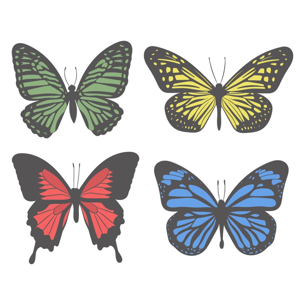 ilustração vetorial de borboleta vetor