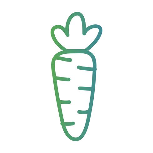 linha saudável cenoura legumes comida vetor