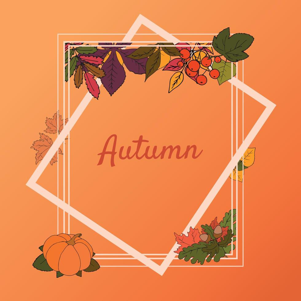 ilustração vetorial de um banner de outono com folhas e uma moldura branca vetor