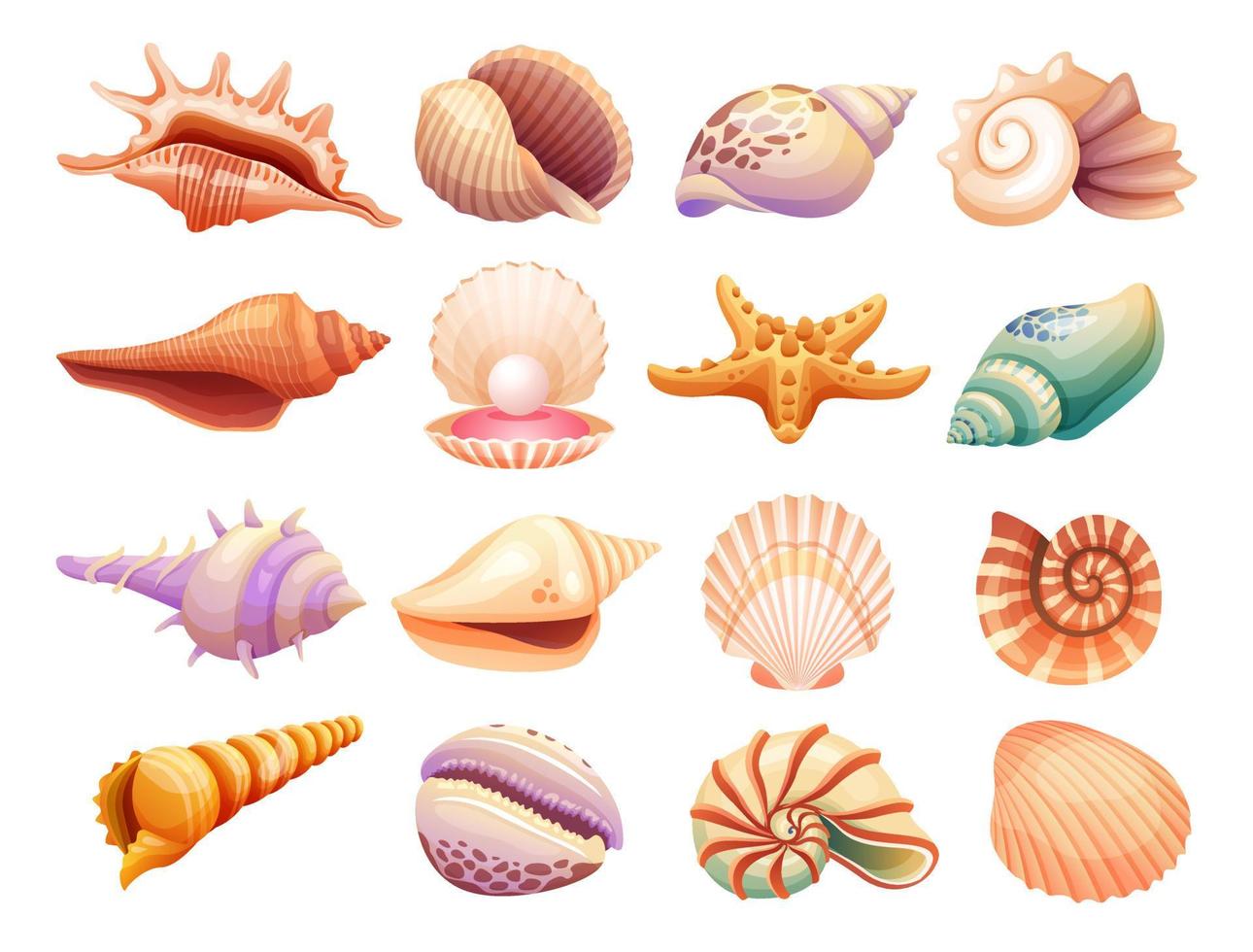 coleção de ilustração de conchas isoladas no fundo branco vetor