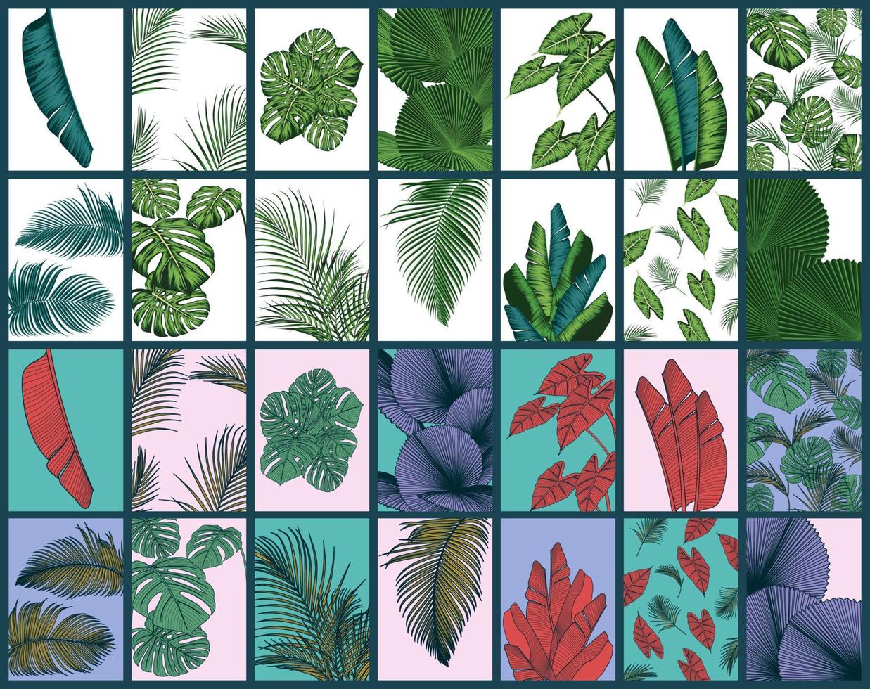 conjunto de fundo de folhas tropicais de verão com plantas da selva vetor