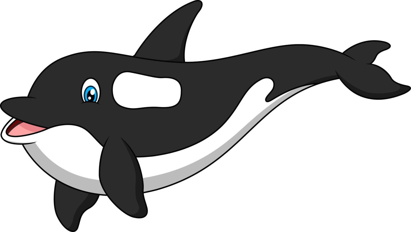 baleia assassina de desenho animado bonito e adorável vetor