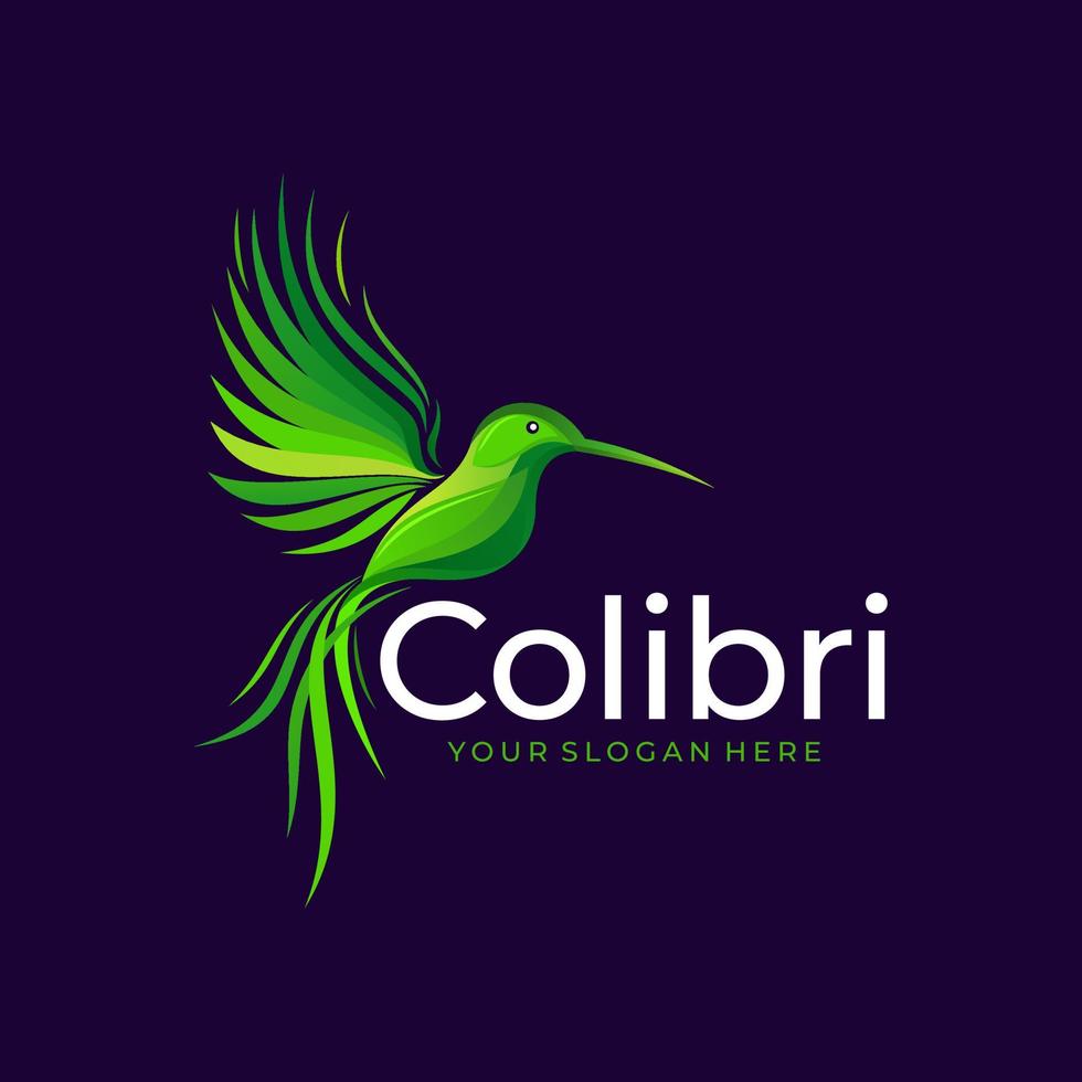 abstrato colorido colibri pássaro logotipo linha contorno monoline vector ilustração ícone