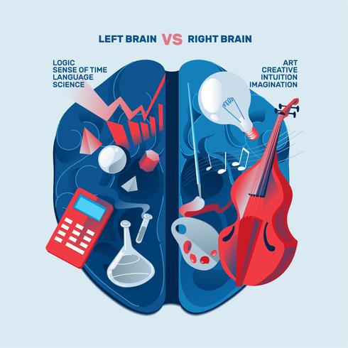 Esquerda Direita Conceito Cérebro Humano vetor