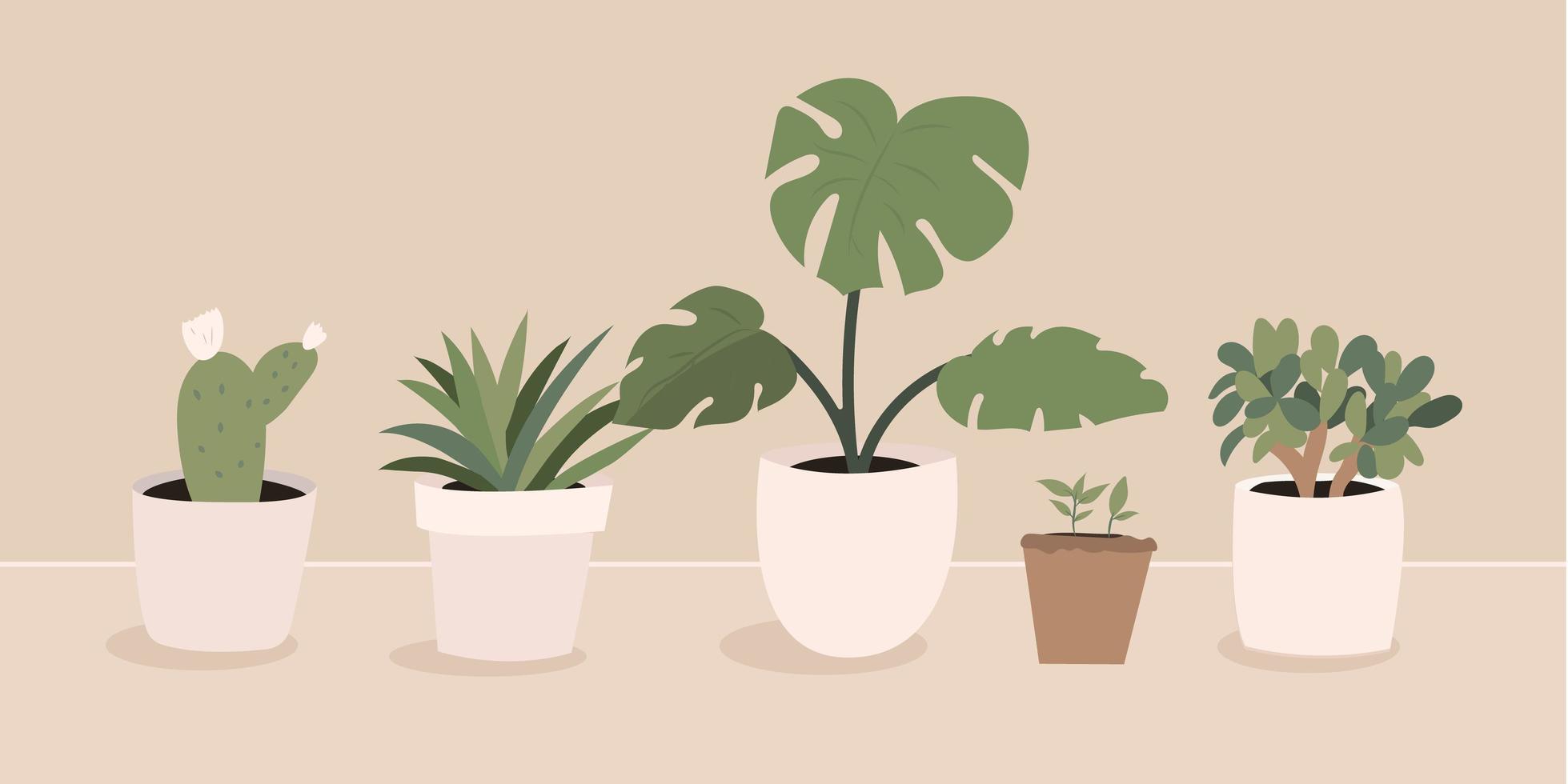 conjunto de ilustrações vetoriais desenhadas à mão de plantas de interior para casa interior, em fundo bege vetor