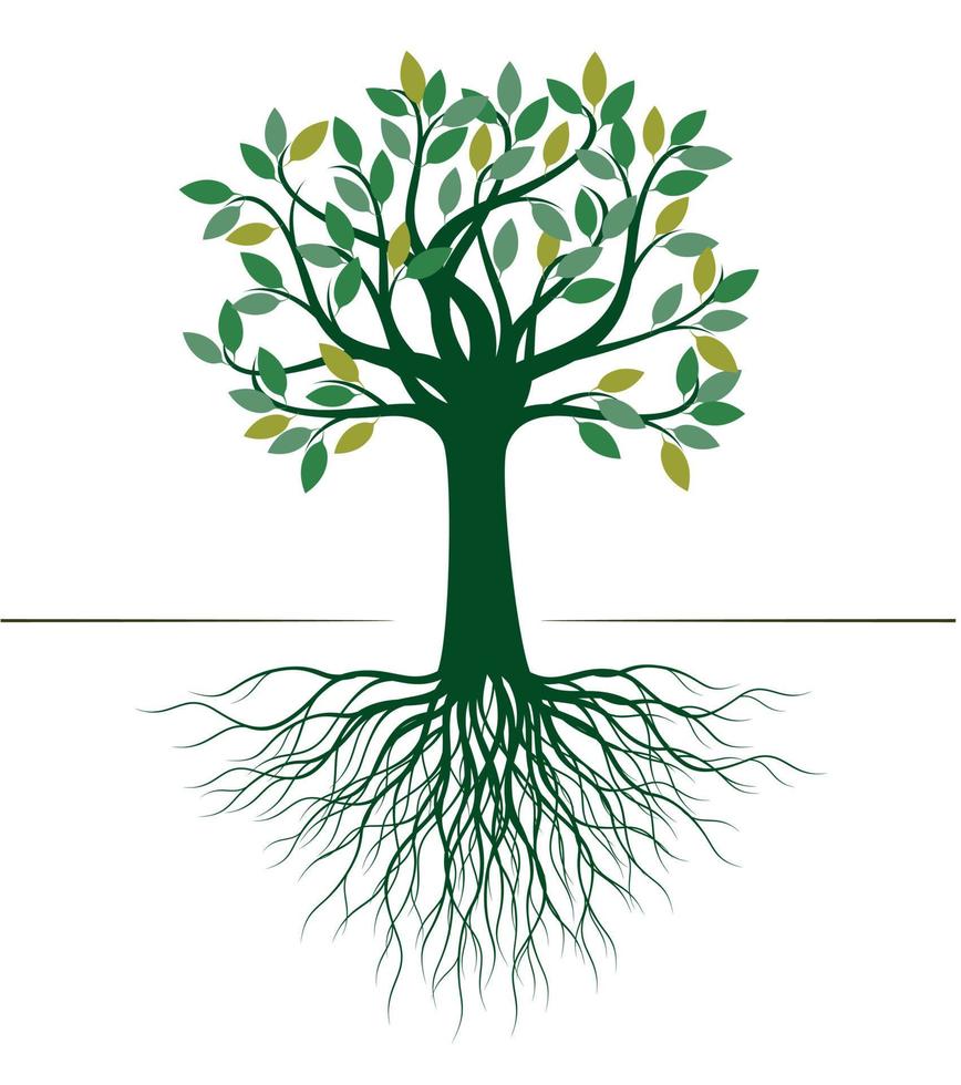 árvore verde com raízes. ilustração vetorial. vetor