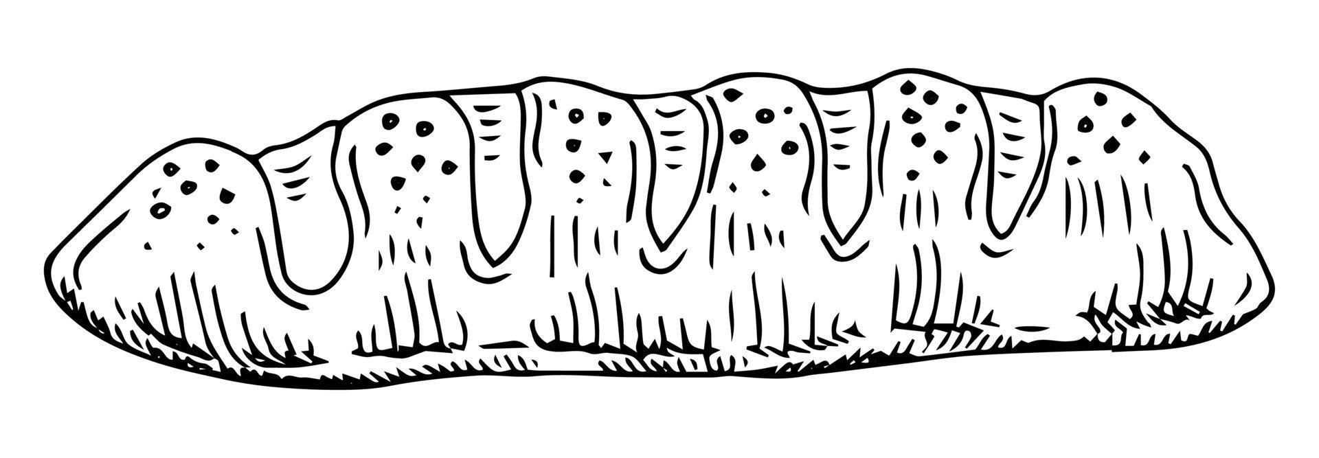 pão de baguete de desenho vetorial desenhado à mão isolado no fundo branco vetor
