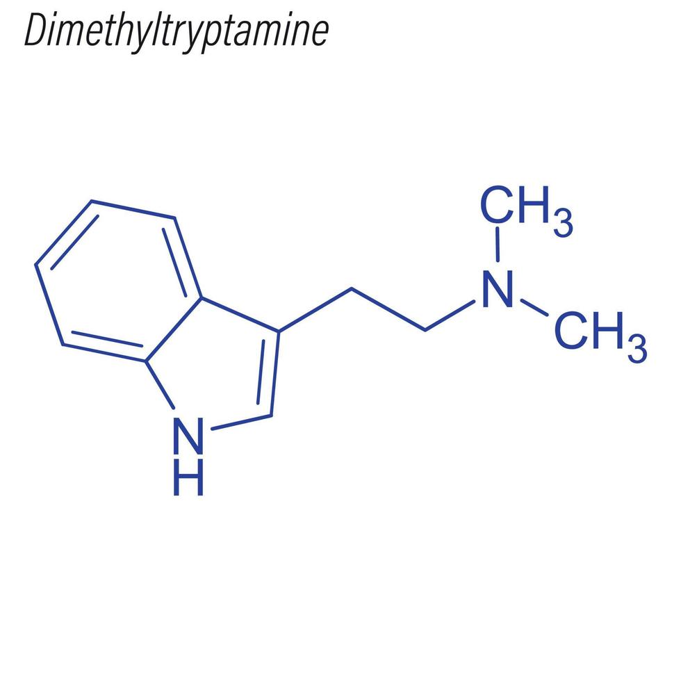 fórmula esquelética vetorial de dimetiltriptamina. droga química mol vetor