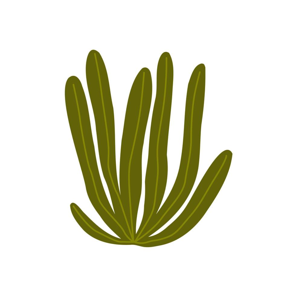 planta do deserto em estilo desenhado à mão plana. oeste selvagem, deserto, plantas. ilustração vetorial isolada no fundo branco vetor