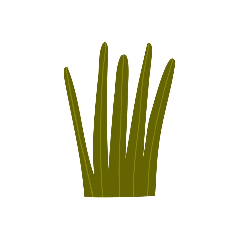 planta do deserto em estilo desenhado à mão plana. oeste selvagem, deserto, plantas. ilustração vetorial isolada no fundo branco vetor