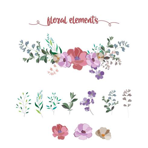 coleção de elementos florais vetor