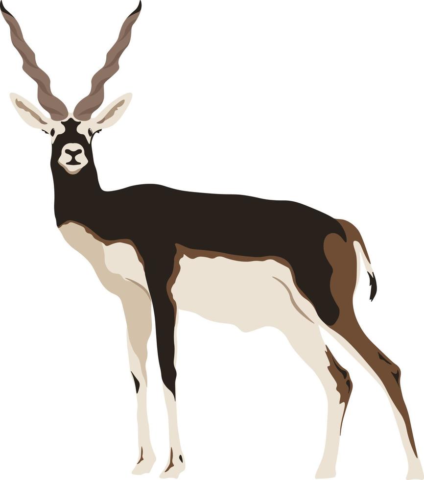 blackbuck assistindo ilustração vetor