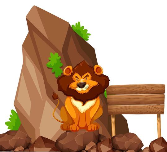 Leão sentado na pedra no zoológico vetor