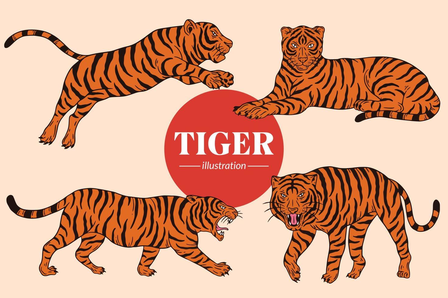 definir poses selvagens de rosto de tigre ilustração de desenho animado isolada vetor