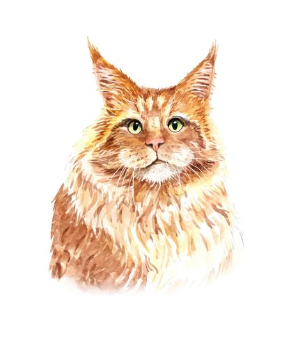 Retrato em aquarela de gato laranja vetor