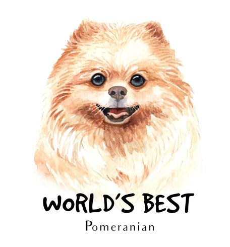 Retrato desenhado em aquarela mão de cachorro Pomeranian vetor