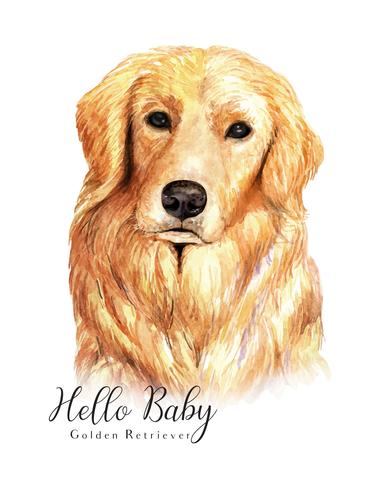 Retrato em aquarela de cachorro Golden Retriever vetor