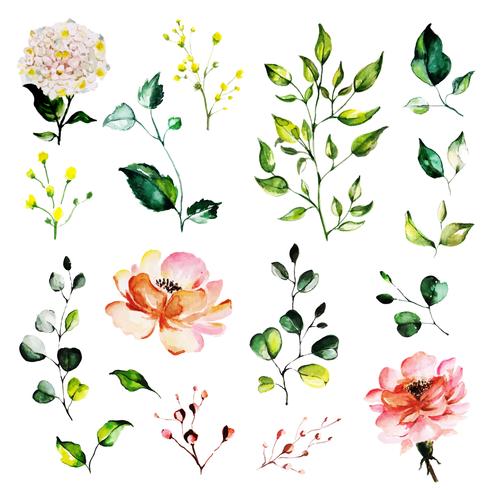 Folhas e bela aquarela floral vetor