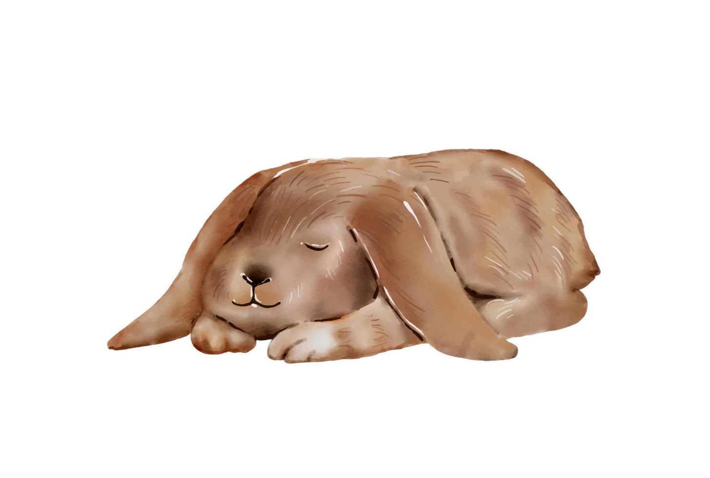 ilustração em aquarela de coelhinho da páscoa isolada no fundo branco. vetor de desenho de mão de coelho fofo