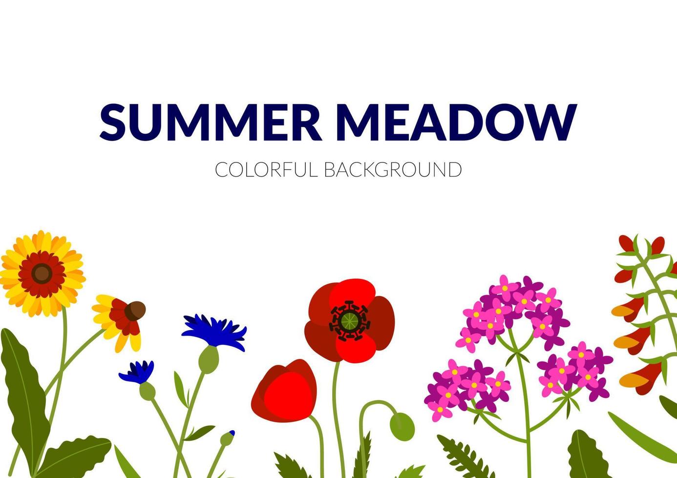 banner horizontal de verão com flores silvestres, incluindo yarrow, echinacea, centáurea, papoula, snapdragon. ilustração vetorial vetor