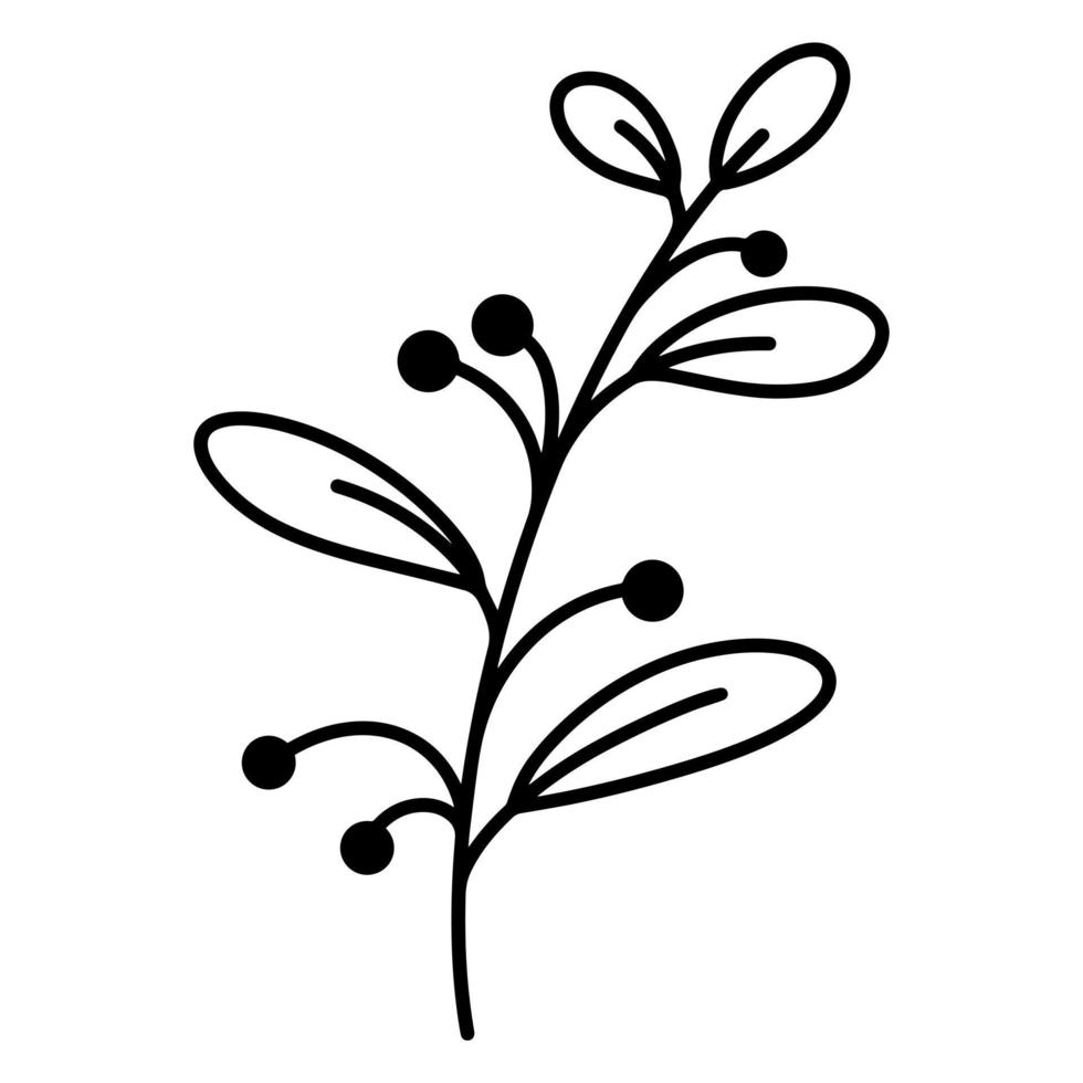 raminho de ícone de vetor com folhas e bagas. ilustração de doodle desenhada de mão. contorno preto de um galho. silhueta de erva, elemento botânico. esboço da planta. objeto vegetal isolado.