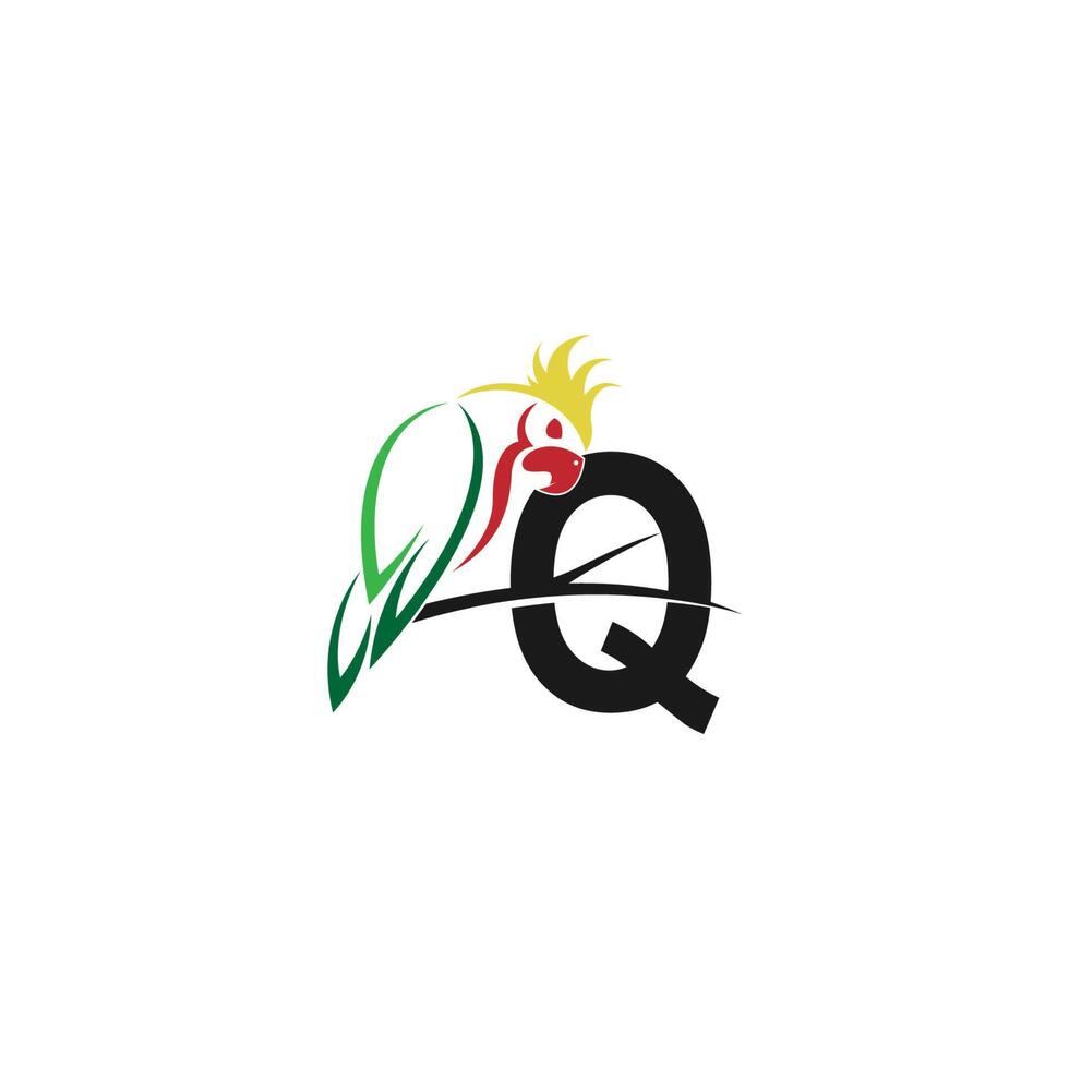 letra q com vetor de design de logotipo de ícone de pássaro papagaio