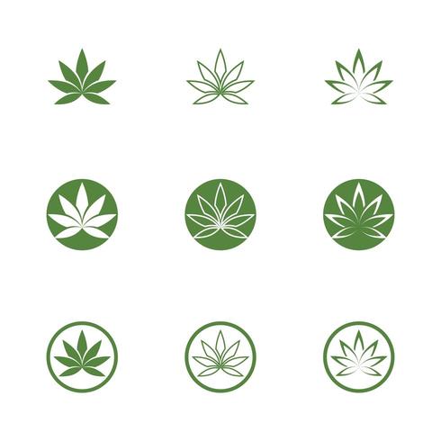 Canabis folha verde vetor ilustração ícone do design