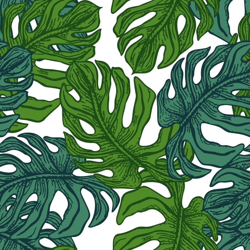 monstera deixa ramo tropical pattern.retro sem costura em estilo de gravura. vetor