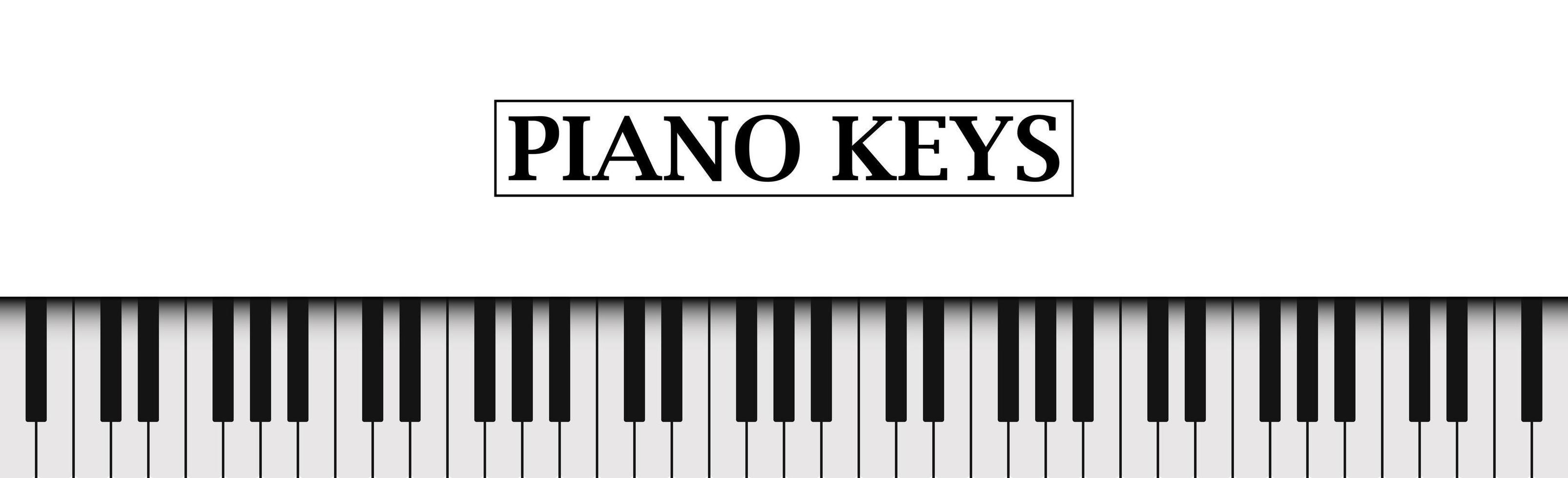 teclas de piano preto e branco de fundo branco realista - vetor