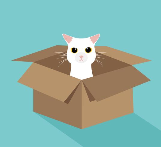 Gato branco bonito na caixa vetor
