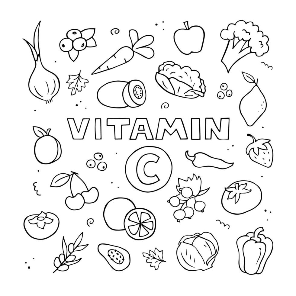 conjunto de fontes de vitamina c. ilustração desenhada à mão. doodle comida natural. contorno preto e branco de vetor. vetor