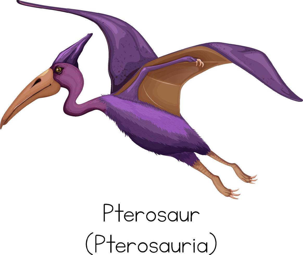 cartão de palavras pterossauro na cor roxa vetor