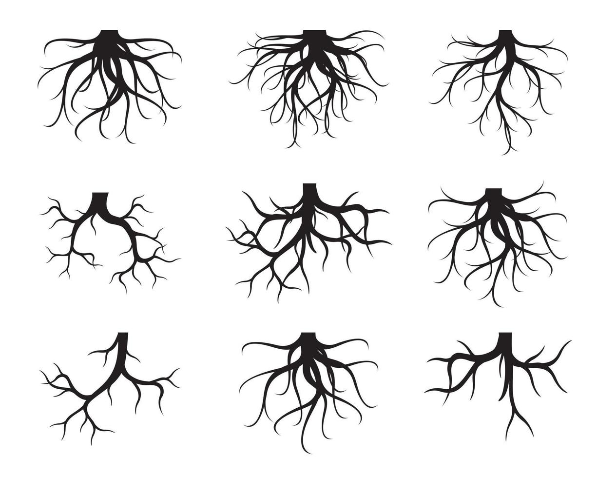 conjunto de raízes de árvores pretas. ilustração de contorno vetorial e imagem da natureza. vetor