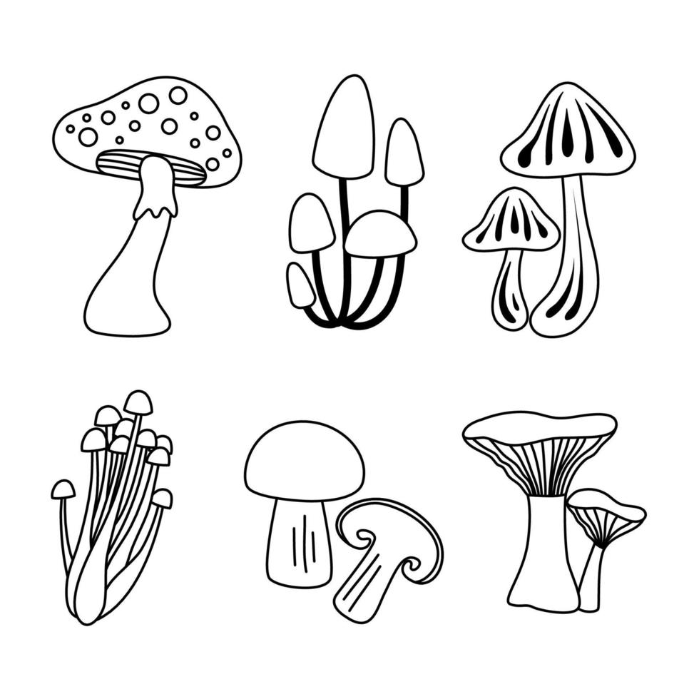 ilustração de coleção de arte de linha de cogumelo vetor
