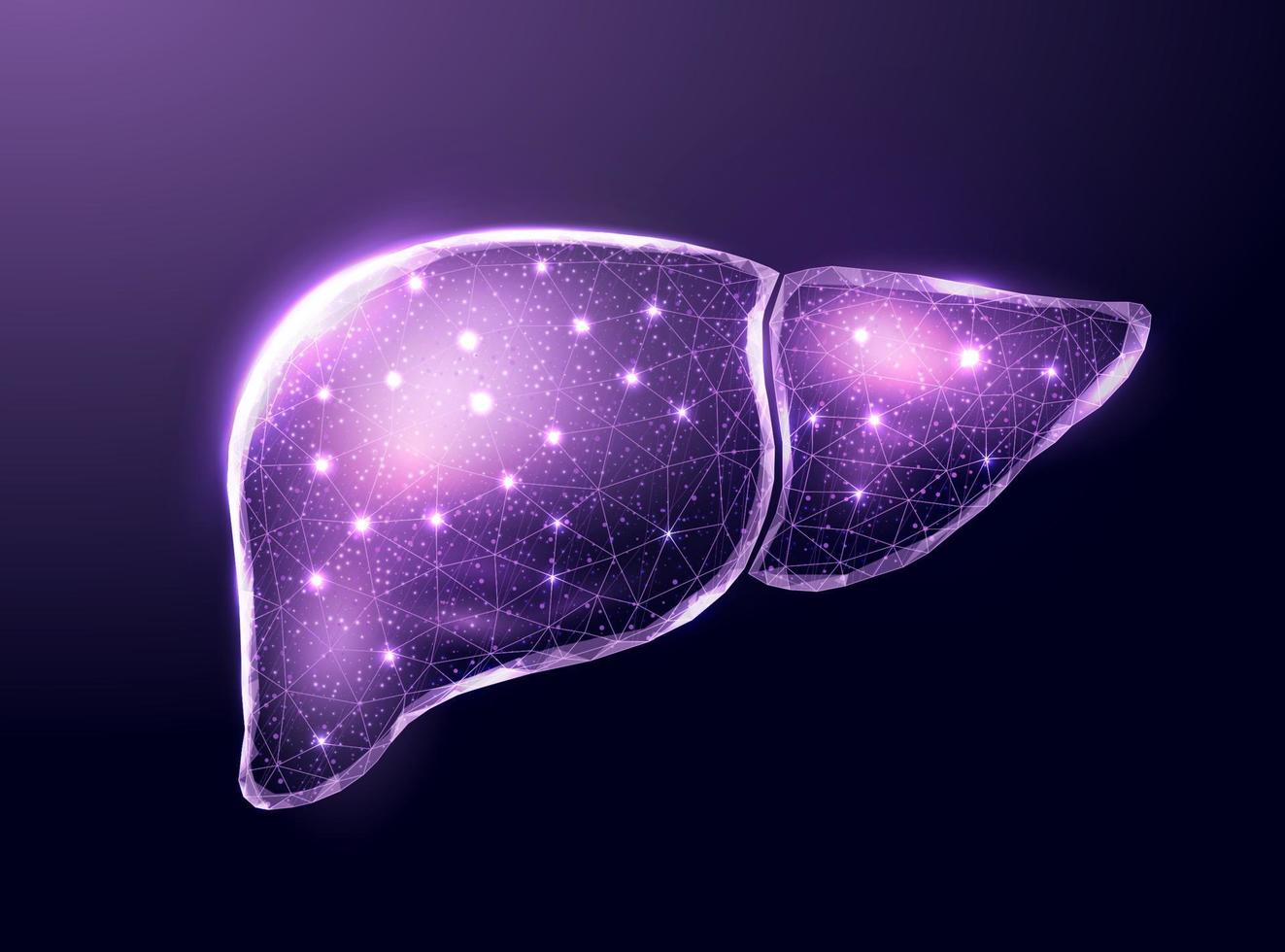 fígado roxo humano. estilo de baixo poli de wireframe. conceito para médico, tratamento da hepatite. ilustração em vetor 3d moderno abstrato em fundo escuro.