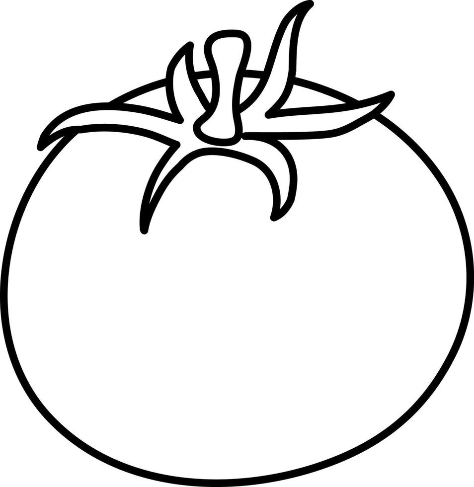 contorno de doodle de tomate para colorir vetor