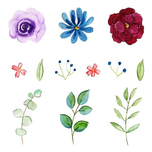 Aquarela Floral e coleção de folhas vetor