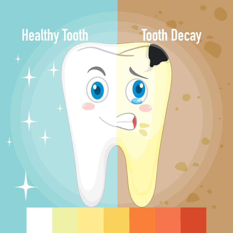 infográfico de dente saudável e cárie dentária vetor