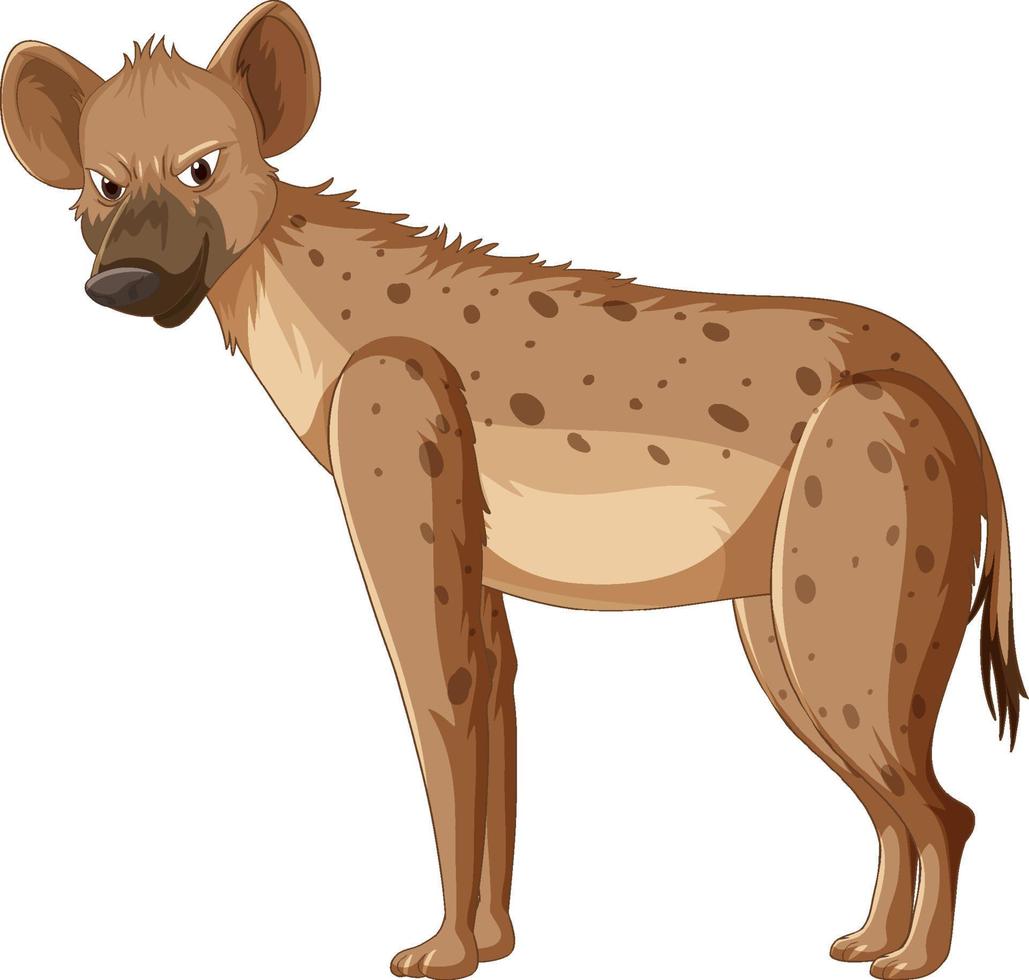 hiena isolada no fundo branco vetor