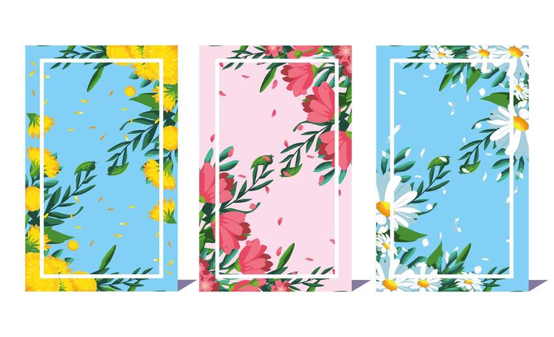 conjunto de quadros com decoração de flores vetor