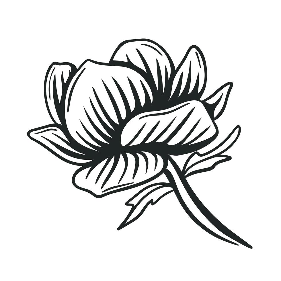 bela e exuberante flor grande gráfico preto desenho ilustração isolada vetor