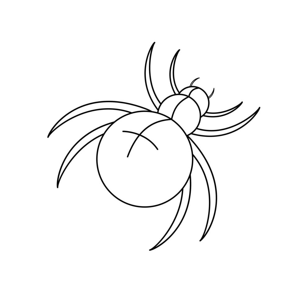 desenho em preto e branco de contorno de uma aranha. ilustração vetorial. página para colorir. vetor